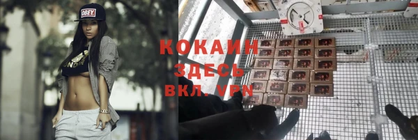 гидропоника Новодвинск