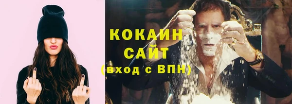jwh Гусь-Хрустальный