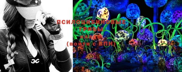 jwh Гусь-Хрустальный