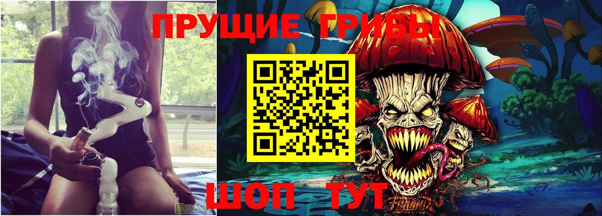 Псилоцибиновые грибы GOLDEN TEACHER Назарово