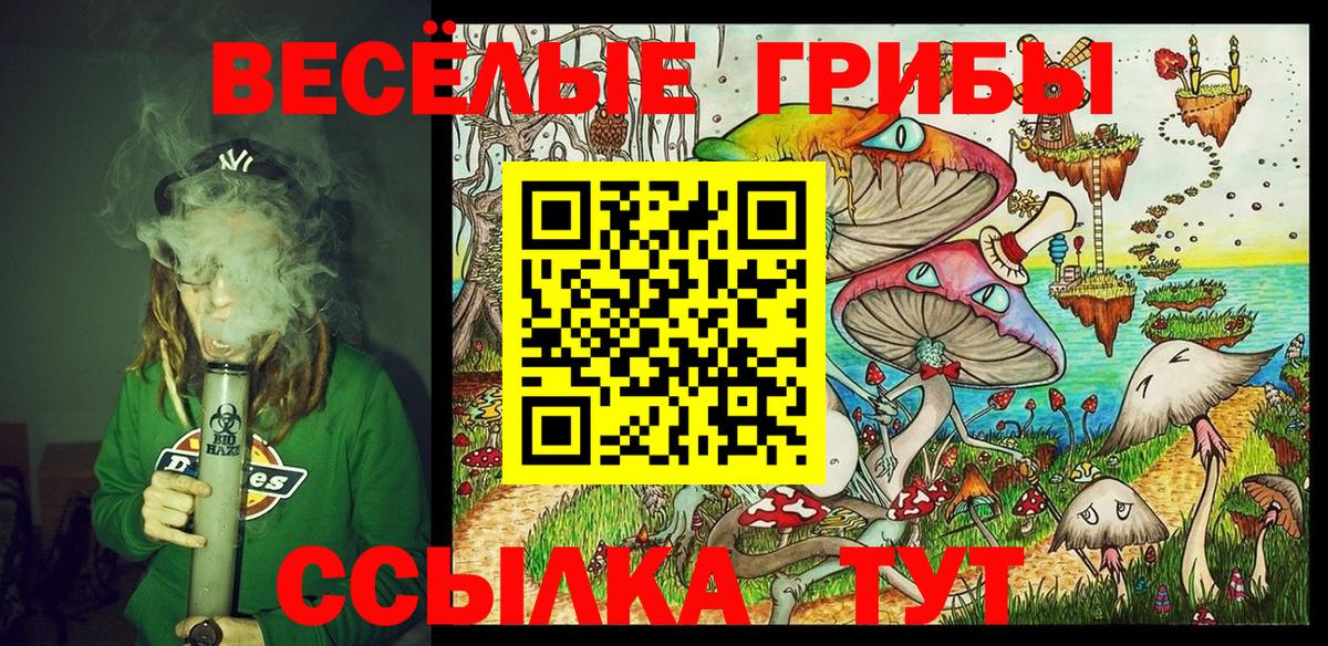 Псилоцибиновые грибы мухоморы Назарово